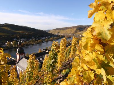 Herbststimmung an Mosel und Saar